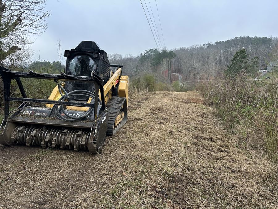 Forestry mulcher clearing underbrush on a wooded West Georgia property